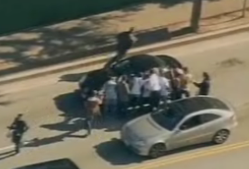 Animal Planet: Paparazzi Attack Britney Spears